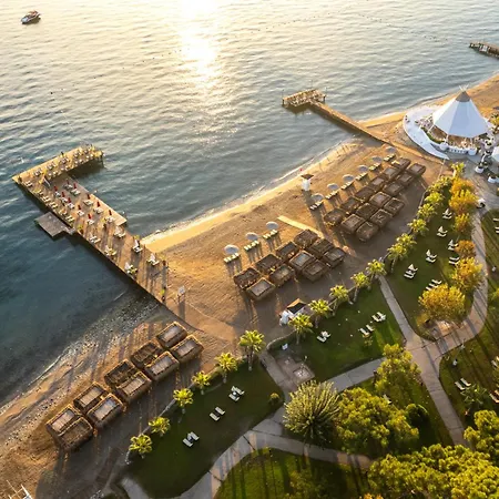 Balmy Foresta 5* Бельдиби