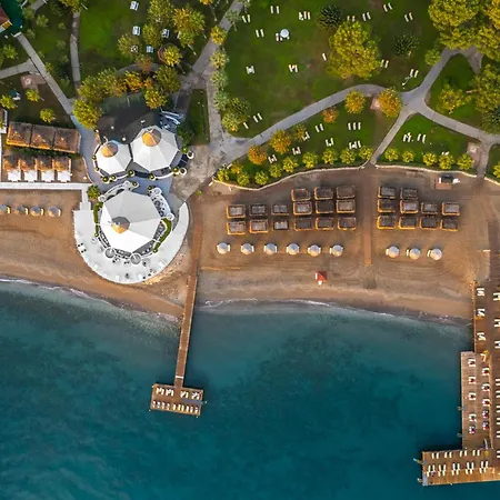 Курортный комплекс Balmy Foresta 5*